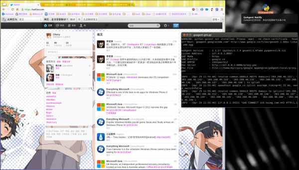 GoAgent 翻墙成功