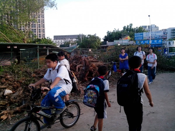 疑似废墟の单车棚